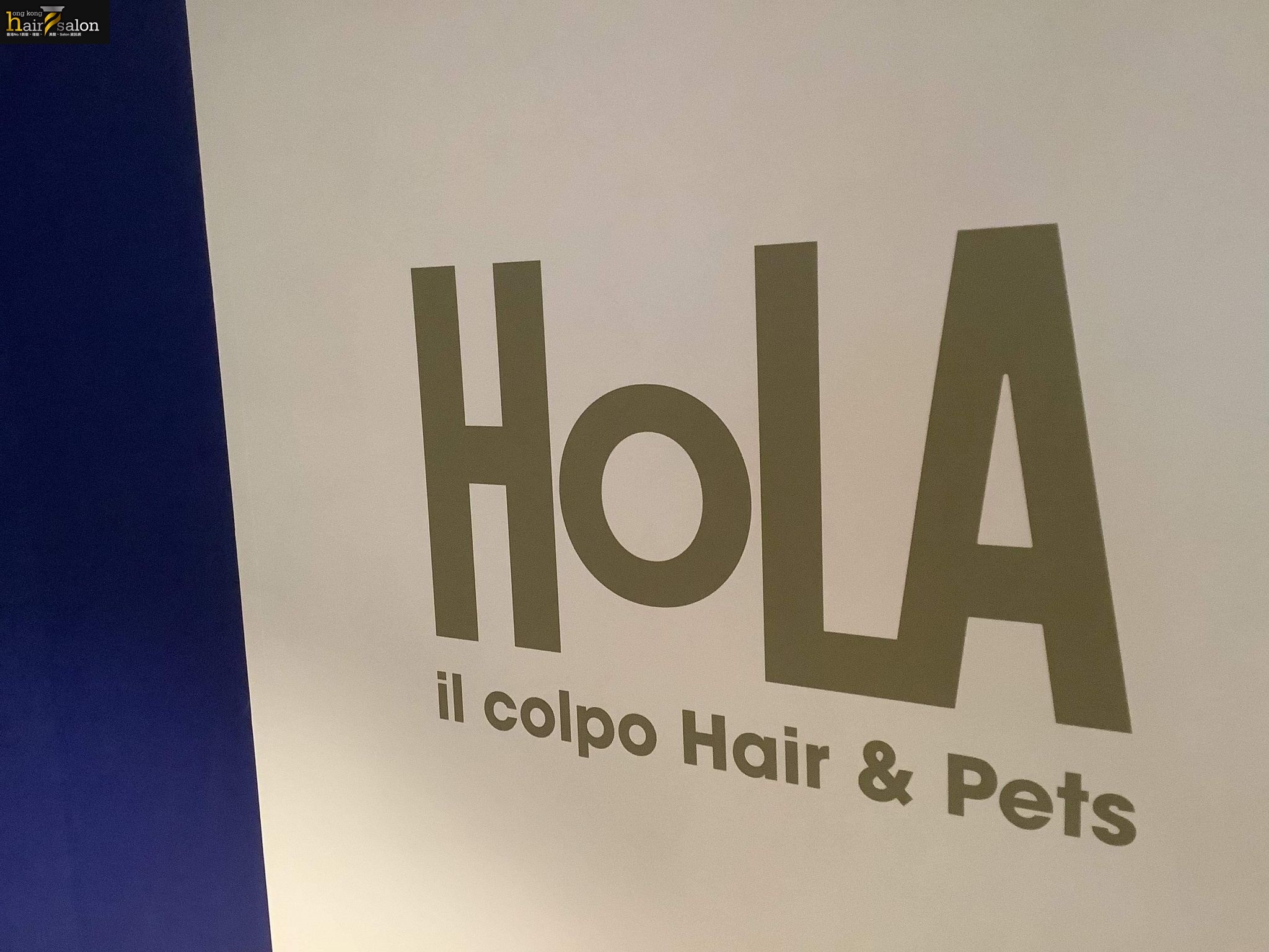 電髮/負離子: Hola il Colpo hairs & pets