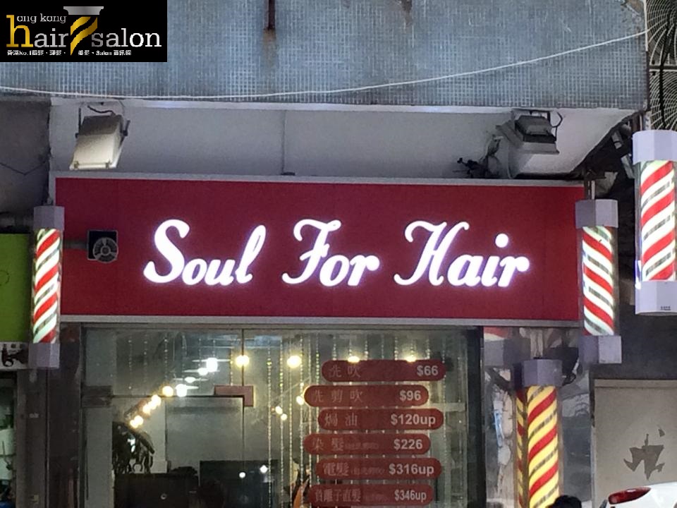 電髮/負離子: Soul For Hair